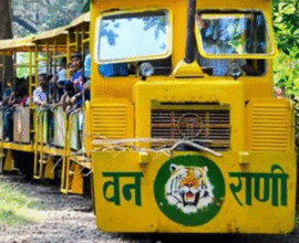 Borivali Toy Train
