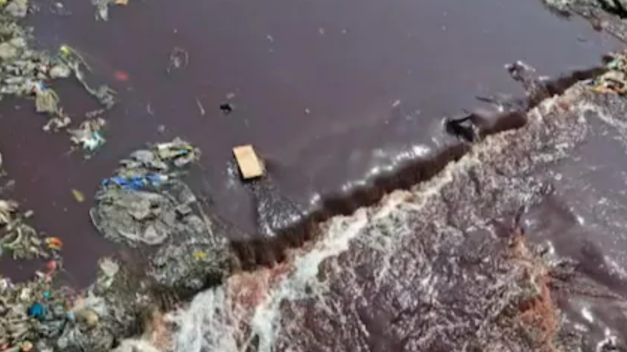 Maharashtra river pollution