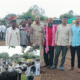 Buldhana cattle market
