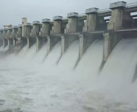 Jayakwadi dam water level