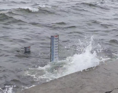 Jayakwadi dam water level update