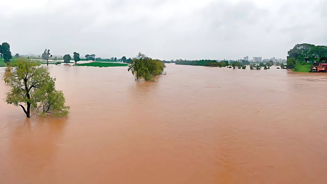 Kolhapur rain news
