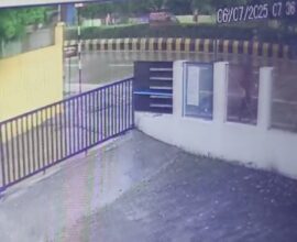 Nagpur Maya Pansekar murder