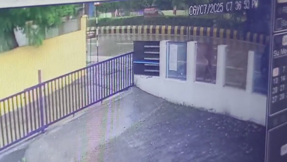 Nagpur Maya Pansekar murder