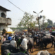 Parbhani animal market news