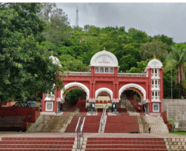 Pune mental illness fake