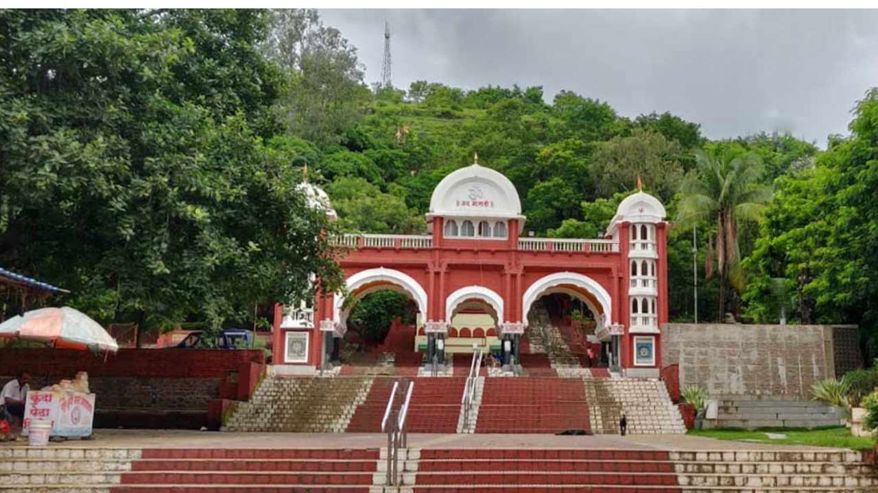 Pune mental illness fake