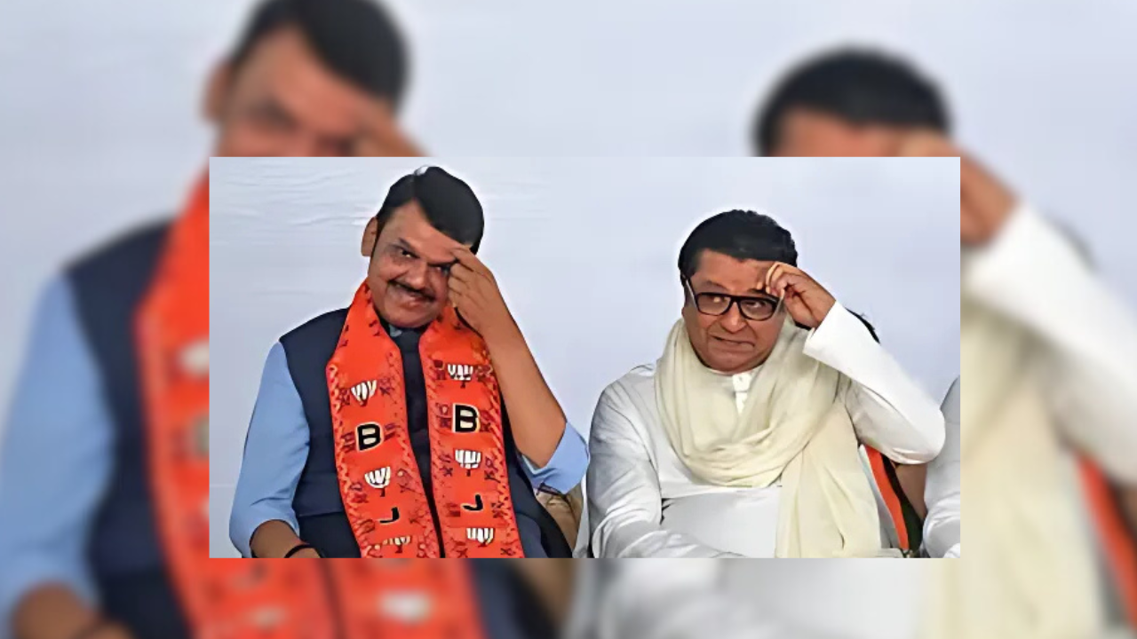 Raj Thackeray on Hindi language