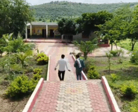 Rui Pimpalgaon Beed development