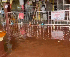 Sangli flood alert Krishna river level