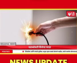 Yavatmal electric wire murder
