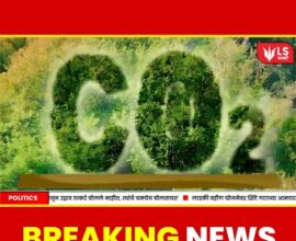 Columbia University Artificial Tree