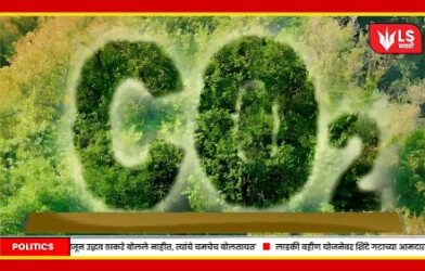 Columbia University Artificial Tree