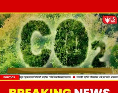 Columbia University Artificial Tree