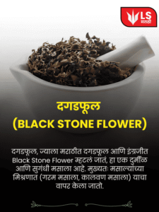 black stone flower main
