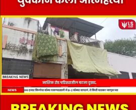 online game suicide case