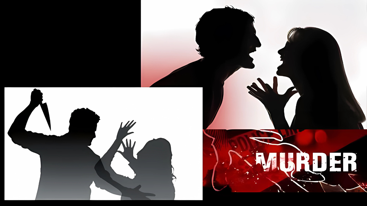 pregnant wife murder