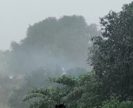 Bhandara heavy rainfall news