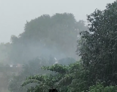 Bhandara heavy rainfall news