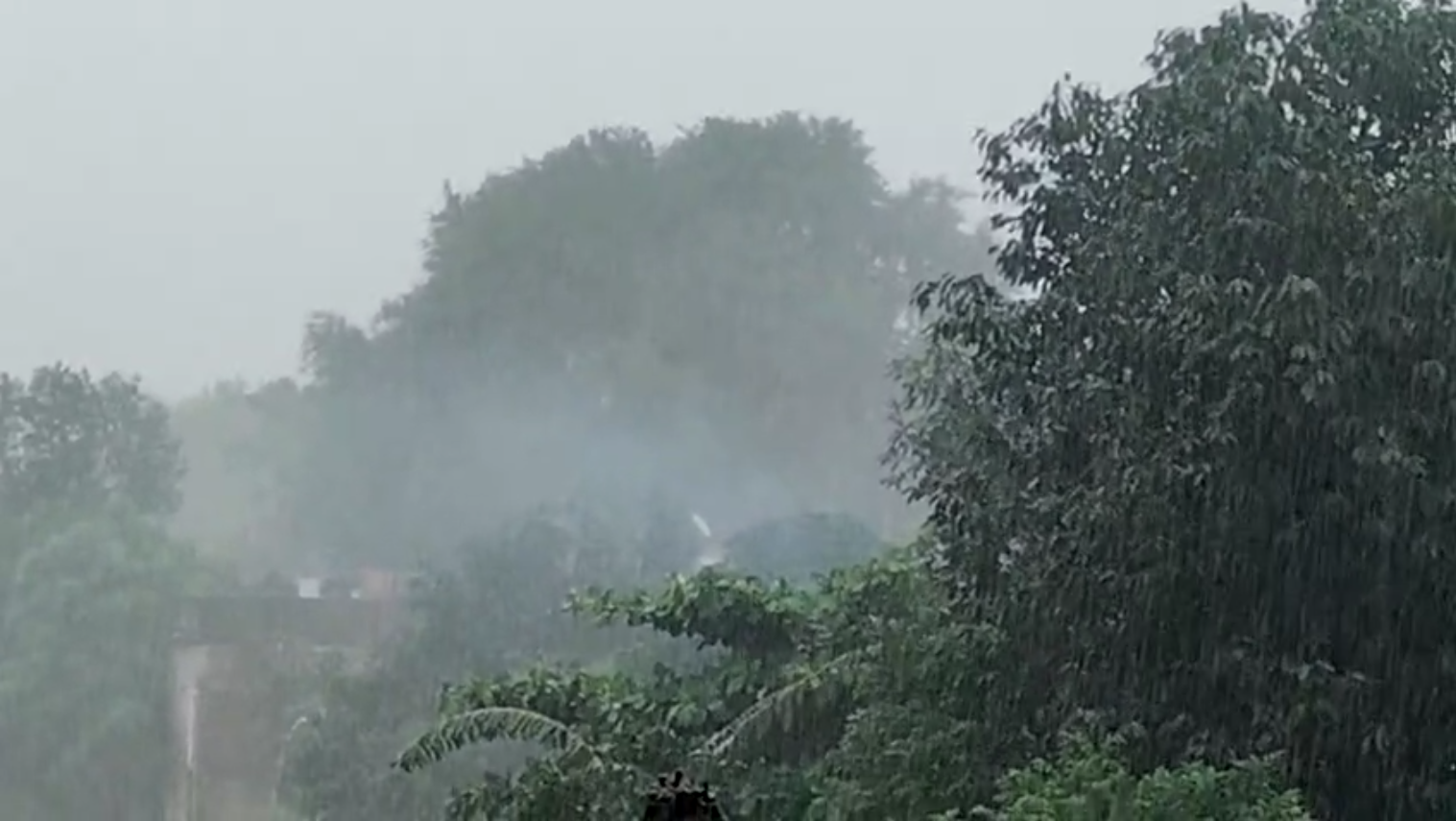 Bhandara heavy rainfall news