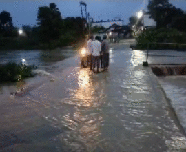 Chandrapur damaged bridge