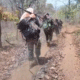 Gadchiroli Naxal encounter news