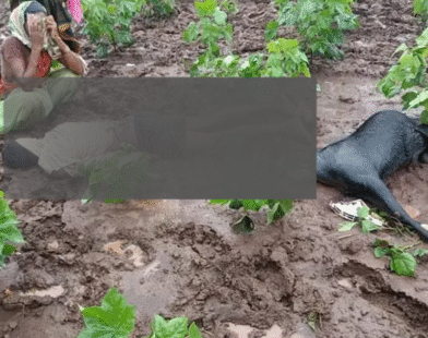 Lightning strike death in India2