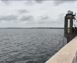 Manjara Dam Jalpujan Ceremony