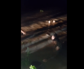 Parli Beed car stuck in nullah