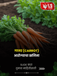 CARROT Benifits