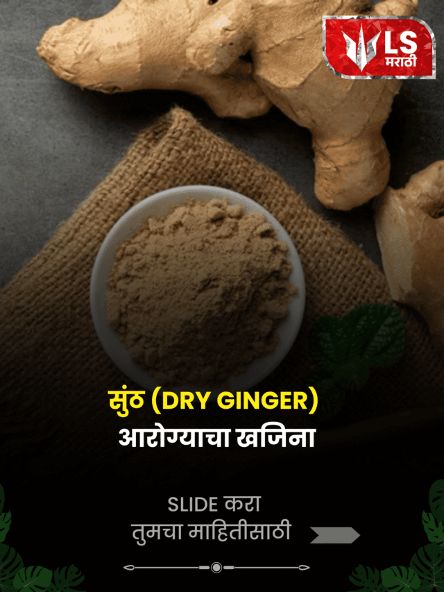 सुंठ (Dry Ginger): आरोग्याचा खजिना