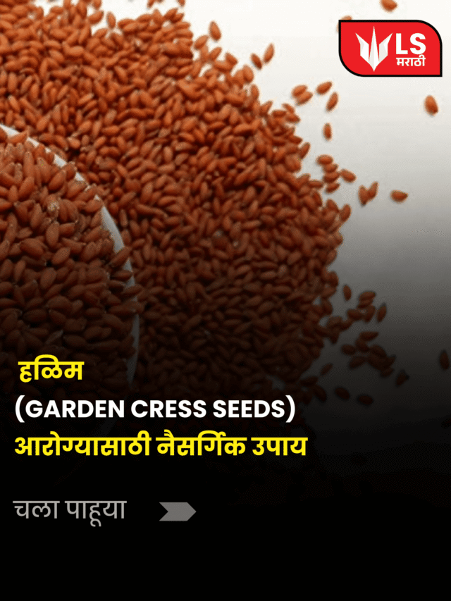 हल्लीम (Garden Cress Seeds): आरोग्यासाठी नैसर्गिक सुपरफूड