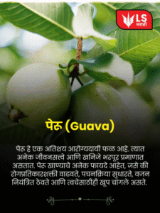 cropped-Guava.png