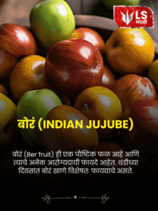 Indian Jujude