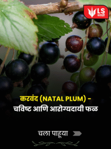Natal Plum