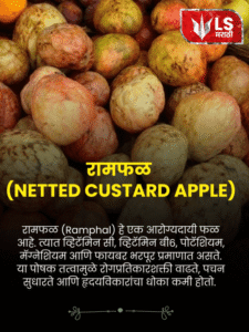 Netted Custard Apple