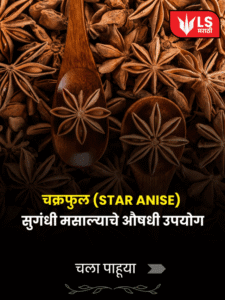 Star anise