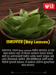 cropped-bay-leaf.png