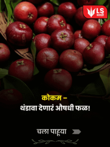 kokum fruit