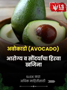 avacado 1