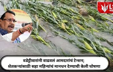 Lok Shevay Marathi News (लोकशिवाय मराठी बातम्या) - विदर्भात पुढील ३ ४ दिवस मुसळधार पावसाची शक्यता येलो अलर्ट जारी 90 विदर्भात पुढील ३ ४ दिवस मुसळधार पावसाची शक्यता येलो अलर्ट जारी 90