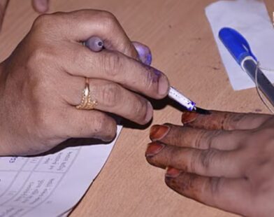 Local body elections