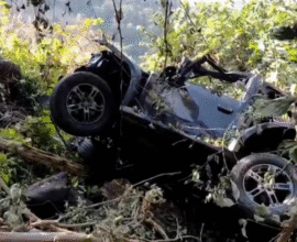 Tamhini Ghat Thar Accident