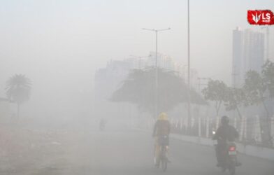 Cold wave expected in Maharashtra with temperature likely to drop further