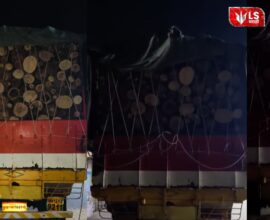 Forest officials seize illegally transported timber during raid in Bhor