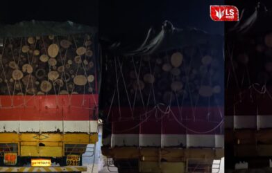 Forest officials seize illegally transported timber during raid in Bhor