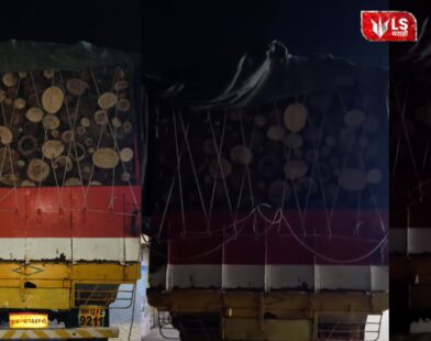 Forest officials seize illegally transported timber during raid in Bhor