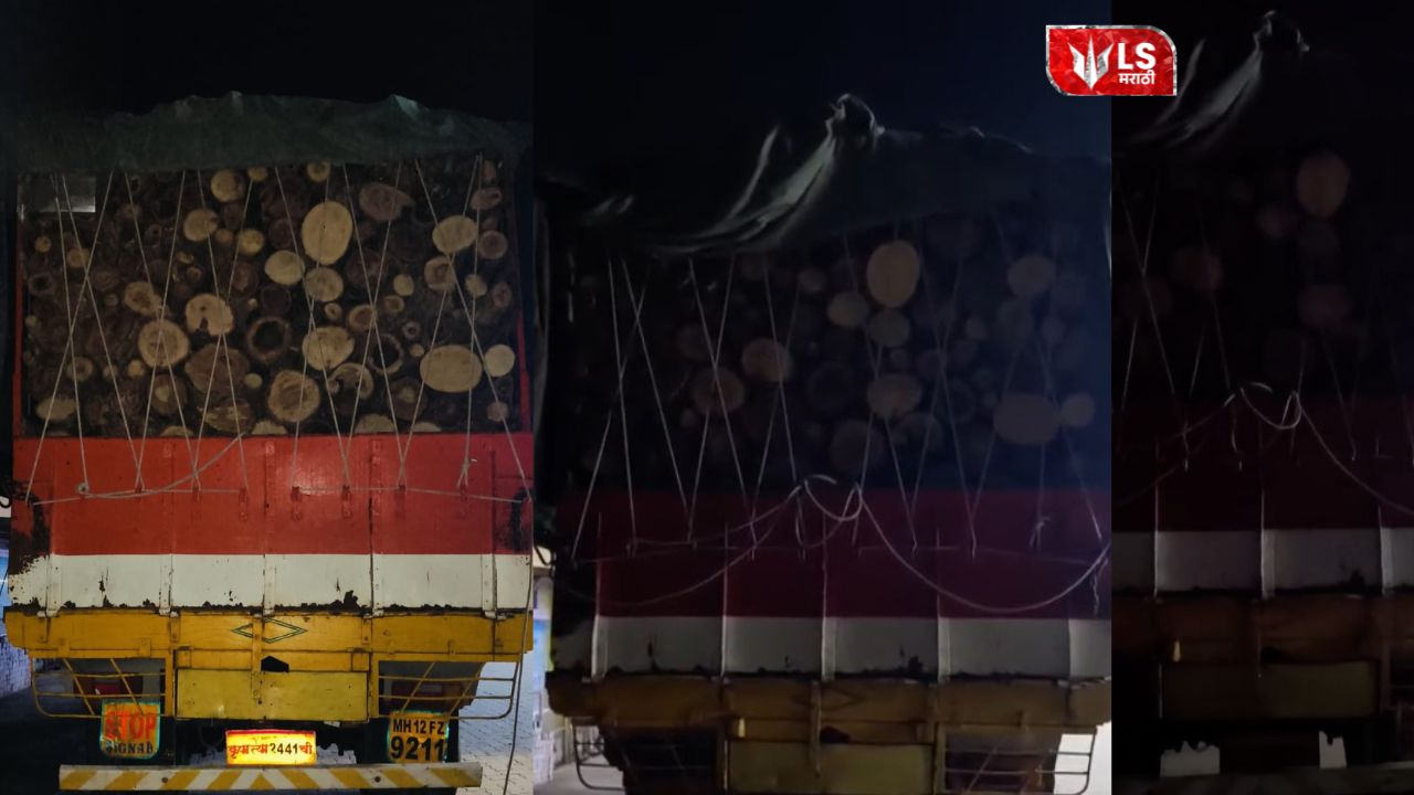 Forest officials seize illegally transported timber during raid in Bhor