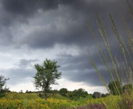 in maharashtra weather got change in few days