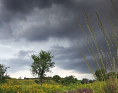 in maharashtra weather got change in few days